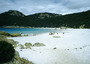 australia - white beach wa.jpg